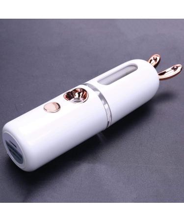 ENERRGECKO Portable Face Bottle Nano Steamer Face Sprayer 30Ml Face Beauty Instruments(White) - Buy Online on GoSupps.com