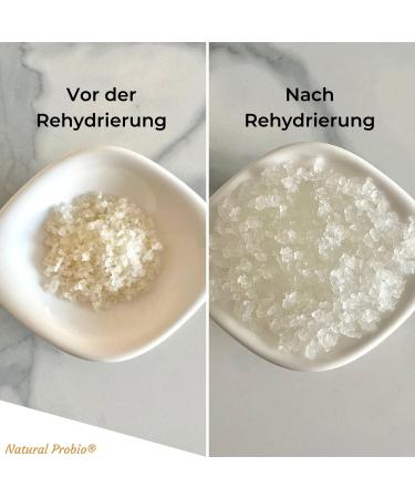 Buy Natural Probio Wasserkefir Starter Kit - 20g Japankristalle Culture with Instructions Recipes & E-Book Access | International Shipping Available - Buy Online on GoSupps.com