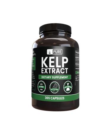 Pure Original Ingredients Kelp Extract (365 Capsules) No Magnesium Or Rice Fillers Always Pure Lab Verified
