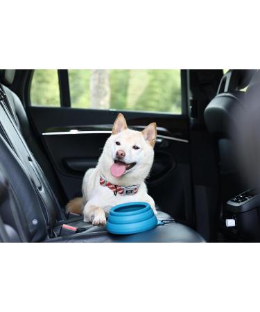Ohmo Dog Travel Bowl - 700ml Portable Water Bowl for Road Trips Anti-Sloppy Foldable Pet Bowl Unique Blue-Green Design Perfect Travel Accessories for Dogs - Buy Online on GoSupps.com