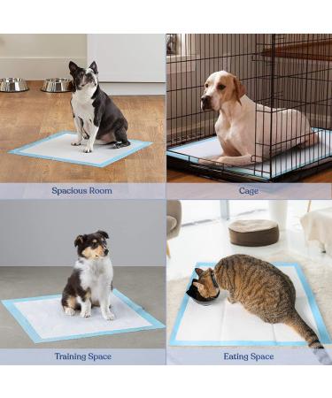 BACTIM Puppy Pads Pack of 50 Super Absorbent Disposable Dog and Puppy Training Pads (60 x 45cm) Multi Layered Leakproof Odour Locking Toilet Trainer Pee Mat for Small to Large Size Pet Incontinence - Buy Online on GoSupps.com