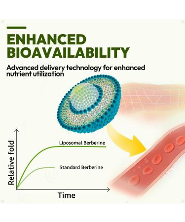 Liposomal GLP-1 Supplement Weight Loss - 600mg Berberine with Ceylon Cinnamon - Enhanced Absorption Formula for Healthy Glucose Metabolism & Metabolic Support - 180 Capsules (90 Days Supply) - Buy Online on GoSupps.com