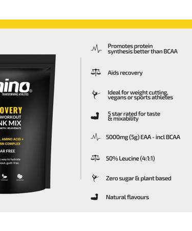 Amino Recovery Powder - Blue Raspberry 22 Servings - EAA & BCAA Intra Workout Drink - 5000mg Amino Acids - Muscle Recovery Aid - Vegan & Sugar Free - Buy Online on GoSupps.com