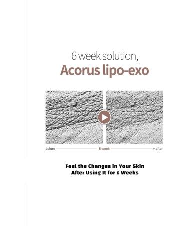 mudaz brightening peptide exogin ampoule - Buy Online on GoSupps.com