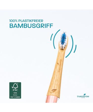Truemorrow Sustainable Bamboo Brushes for Oral-B Pulsonic | 8-Piece Set | Plastic-Free Biodegradable Handle | Vegan Medium Bristle | Colorful & Eco-Friendly - Buy Online on GoSupps.com