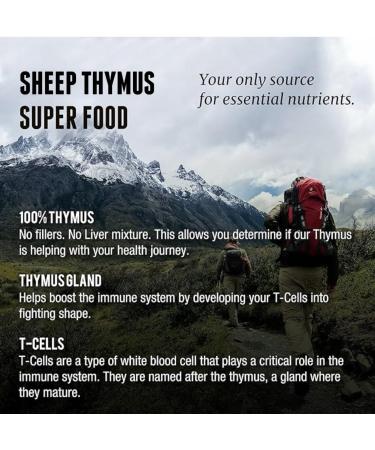 One Earth Health Grass Fed Thymus - New Zealand Sourced Thymus. 3 000mg per Serving 200 Count - Buy Online on GoSupps.com
