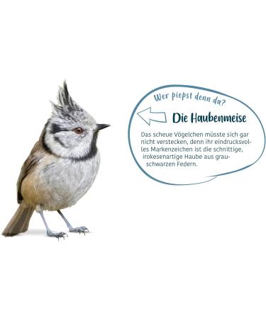 Elles Meisenkn del 6-Pack 100% Natural Energy-Rich Wild Bird Food | Nut-Free & Eco-Friendly Beak-Friendly Treats - Buy Online on GoSupps.com