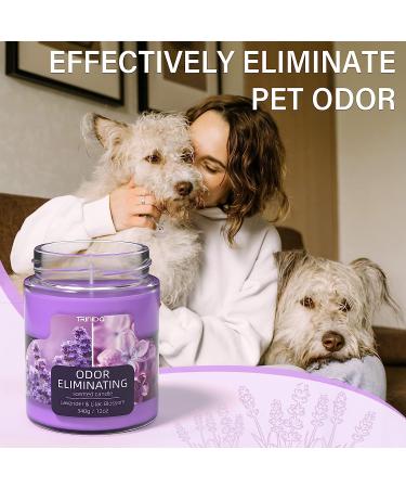 Lavender & Lilac Blossom Odor Eliminating Candle - Premium Soy Candle Gift Set | Eliminates 99% of Pet, Smoke & Food Smells | Highly Fragranced Candle for Women - Buy Online on GoSupps.com