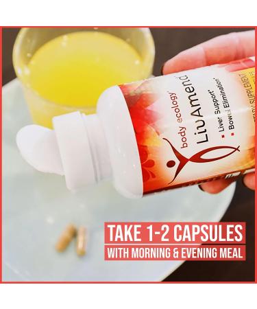 Body Ecology LivAmend | Liver Supplement | Milk Thistle and Artichoke | Aids in Healthy Liver and Improves Bowel Elimination | 120 Vegetarian Count - Buy Online on GoSupps.com