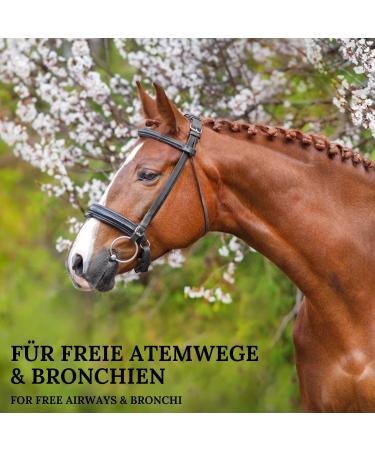 Stiefel Ribwort Cut 500g - Buy Online on GoSupps.com