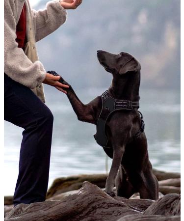 Joytale Medium Dog Harness - Reflective Soft Padded Adjustable & Breathable for Safe Control - Ideal for Medium-Sized Dogs - Buy Online on GoSupps.com