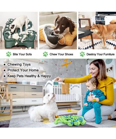 Etaccu Dog Toys Set 8 Indestructible Cotton Rope Toys for Small Dogs | Interactive Puppy Toys (Green) - Buy Online on GoSupps.com