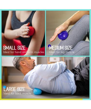 15-Piece Hedgehog Massage Ball Set for Self-Massage & Acupressure - Multi-Color Stress Relief Balls for Body & Feet Reflex Zones - Buy Online on GoSupps.com