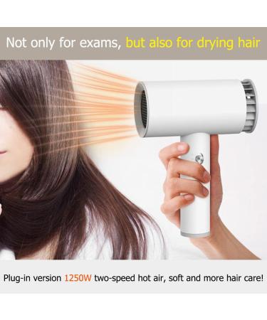 Cordless Hair Dryer Lightweight Travel Portable Professional Hair Dryer with Hot and Cold Air for Pet Hairdressing Oil Painting Drying - Buy Online on GoSupps.com