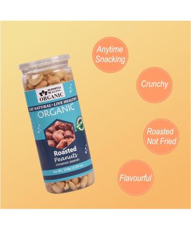 Blessfull Healing Organic Natural Vegan Cinnamon Roasted Peanuts Crunchy Healthy Snacks 150 Gram - Buy Online on GoSupps.com