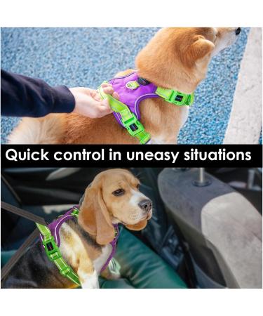 Buy Phoepet No Pull Dog Harness - Reflective Vest with Soft Training Handle for All Dog Sizes (Medium Violet & Green) - Buy Online on GoSupps.com