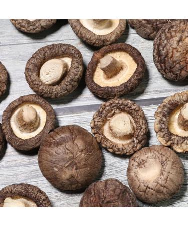 Shiitake Mushroom Dried Xianggu (100g(0.22pounds)) - Buy Online on GoSupps.com