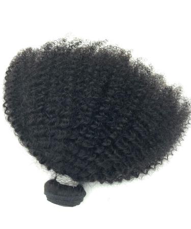 Brazilian Afro Kinky Curly Hair Extension 8-22inch 4B 4C 1 Bundle 100g Brazilian Virgin Remy Human Hair Weaves Natural Black Color (1 bundle 10inch  natural black) natural black 10 Inch (Pack of 1)