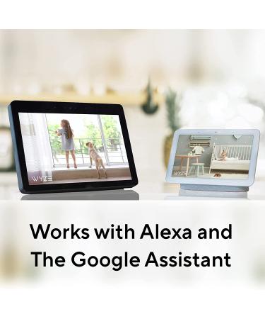 Wyze Cam v3 Wired 2.4GHz Wi-Fi Pet Camera - Indoor/Outdoor Home Security Camera for Pets, Kids & Elderly - Works with Alexa, Google Home & IFTTT - V3 Only - Buy Online on GoSupps.com