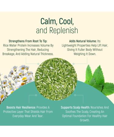 BAMBOEARTH Solid Shampoo Bar and Conditioner Effect Hair Soap Natural Shampoo Bars for Hair with Plant Essential Oils and Zero Waste Biodegradable Packaging Mint and Chamomile - Buy Online on GoSupps.com