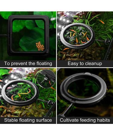 Molain Fish Feeding Ring - 2 Pieces Aquarium Food Feeder Circle for Guppy, Bettas, Goldfish, Turtle - Buy Online on GoSupps.com