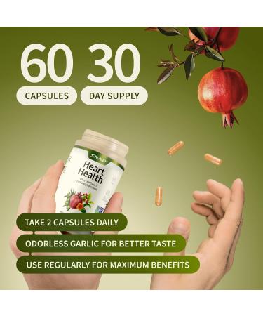 Snap Supplements Heart Health Support Supplement - Botanical Support for Heart Health Healthy Circulation and Nitric Oxide Levels 90 Capsules (30 Servings 1 Month Supply) 90 Count (Pack of 1) - Buy Online on GoSupps.com