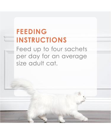 Fancy Feast Savoury Puree Naturals Cat Treats Natural Salmon & Tuna - 10 g x 4 Sachet (30 Pack) - Buy Online on GoSupps.com