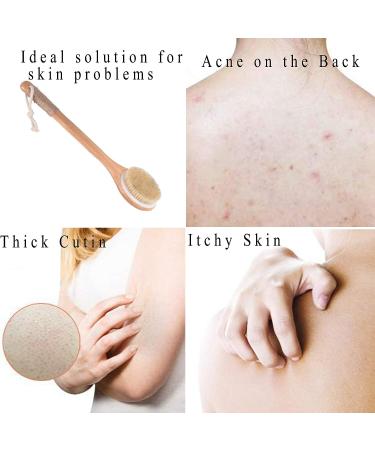 Chikoni Dry Bath Body Brush Back Scrubber with Long Wooden Handle - 100% Natural Bristles for Exfoliation, Detox, Cellulite, and Blood Circulation - Health-Boosting Body Massager - Buy Online on GoSupps.com