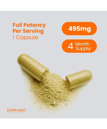 Turmeric Curcumin Supplement with Black Pepper Ginger Moringa (10:1 Equivalent 3000 mg Per Serving Made with 95% Curcuminoids) Third Party Tested Non-GMO Gluten Free - USA Made - (120 Capsules) - Buy Online on GoSupps.com