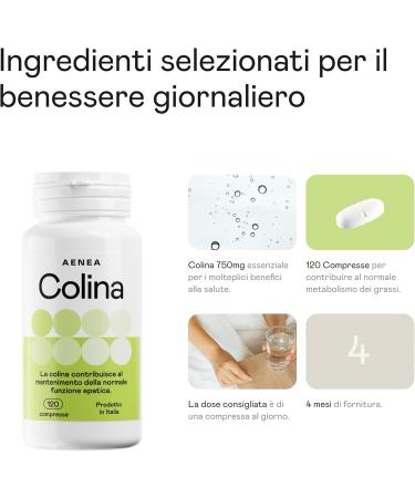 Choline Bitartrate 120 tabs High dosage (1200 mg) 4 month supply - Purifying action - Maintains normal liver function - Buy Online on GoSupps.com