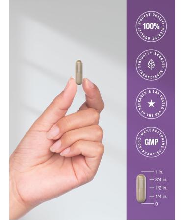 Horb ach Resveratrol Berberine Grape Seed & Quercetin | with Blueberry & Red Wine Extract | 120 Capsules | Non-GMO Gluten Free & Vegetarian Supplement - Buy Online on GoSupps.com