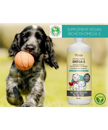 Ferme Olim ga Camelina Oil for Dogs and Cats 500ml Rich in polyunsaturated omega-3 Vitamin E. Pure and Cold Pressed. Joint Fur and Skin. Product of Canada. - Buy Online on GoSupps.com