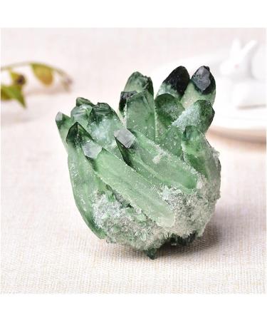 TRUSTTWO Natural Crystal Cluster Amethyst Specimen Mineral Ore Yellow Green Purple Quartz Reiki Healing Stone Raw Crystals Home Decor The New Clear Quartz 500-550g - Buy Online on GoSupps.com