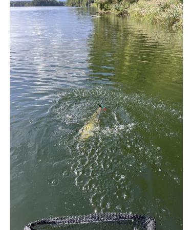 Njord Kalastus Rubber Fish with Jig Head | Selectable Sizes for Zander & Pikeperch - 12cm 15g 13cm 20g 15cm 30g | Predator Fishing Bait Set - 6 Pieces - Buy Online on GoSupps.com