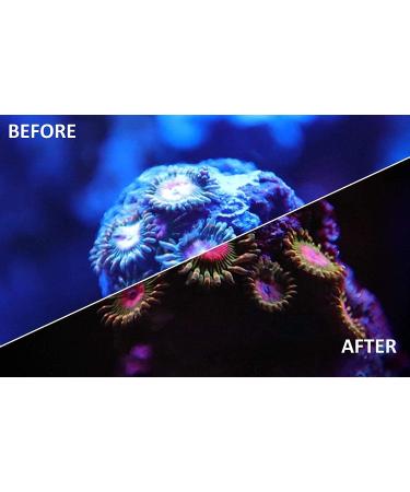 Kraken Reef UV Coral Viewing Glasses - Enhance Your Underwater Exploration - Buy Online on GoSupps.com