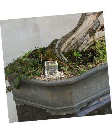 Kisangel 2pcs Pet Water Feeder Insect Feeder Transparent Ants Feeding Cup Insect Water Feeder Plastic - Buy Online on GoSupps.com