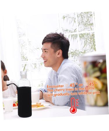 Alipis Clear Time Glass Scale Holder Water Juice Bottle with Cup Transparent Portable Drinking Practical 23.5X6.5X6.5CM Transparent - Buy Online on GoSupps.com