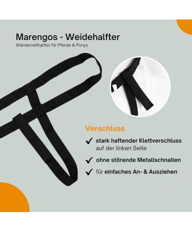 Marengos Weide Halver | Halter for Horses & Ponies | Soft Belt Handlebar for Pasture | Adjustable Sizes | Black Thoroughbred - Buy Online on GoSupps.com