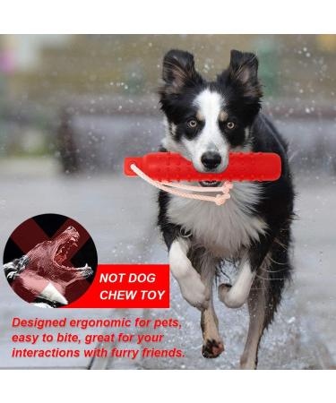 Holoras Dog Swimming Toys - Interactive Retriever Dummies for Small Medium & Large Dogs | Best Pool & Training Toys - Buy Online on GoSupps.com