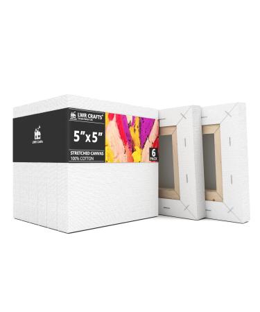 LWR CRAFTS Stretched Canvas 5 X 5 Pack of 6 5x5x6