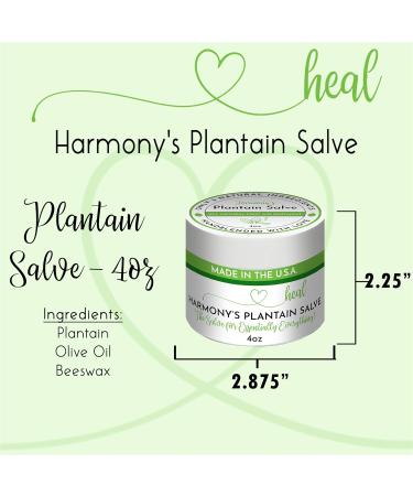 Plantain Salve 4oz - Natural Healing Balm for Skin Relief - Buy Online on GoSupps.com