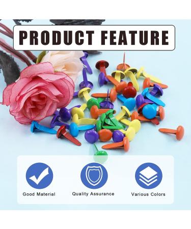 Glarks 1000Pcs 10 Colors Paper Fasteners Brads Metal Mini Brads Assortment Kit 400Pcs 8x15mm Mushroom Head Brads and 600Pcs 8x14mm Round Head Brads for School Classroom Scrapbooking Paper Crafts - Buy Online on GoSupps.com