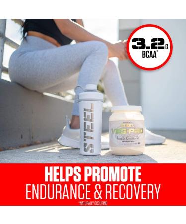 Steel Supplements Veg-PRO Vegan Protein Powder Vanilla Cream Pie 1.65lb | Organic BCAA Amino Acids | Gluten-Free Non-Dairy | Low Carb Formula | 25 Servings - Buy Online on GoSupps.com