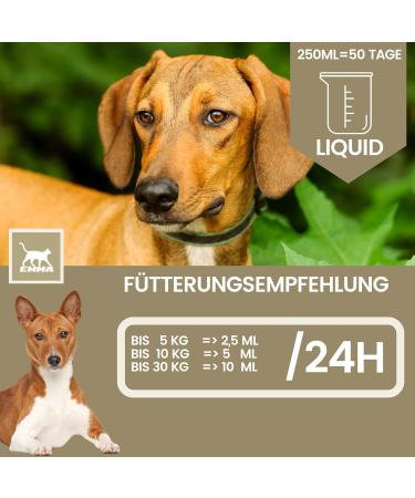 Linseed Oil Barf Oil for Dogs Cats Barf Oil Omega 3 & 6 I Food Oil + Vitamin EI Food Supplement Rich in Omega 3 Omega 6 Fatty Acids without Additives I Coat Skin Energy 0.25l - Buy Online on GoSupps.com