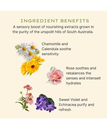 Jurlique Rose Hand Wash - Nourishing Natural Cleanser for Soft Hands | International Shipping Available - Buy Online on GoSupps.com