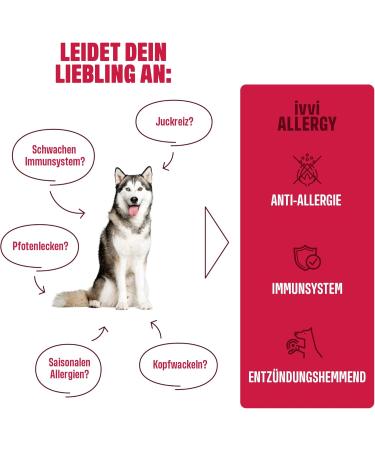 Buy ivvi Allergy Snacks for Dogs | 60 Salmon Treats for Allergies & Immune Support - 270g International Shipping - Buy Online on GoSupps.com