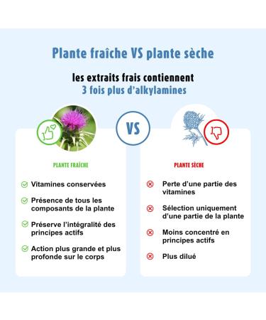 A.VOGEL - Food supplement Digestion - Detox liver - Reduces bloating and acid reflux - Milk thistle artichoke dandelion plant extract - Organic plant active ingredients -50 ml - Buy Online on GoSupps.com