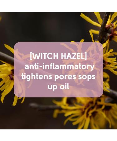 Witch Hazel Pore Strips for Forehead & Chin - Clear Pores & Remove Impurities - Buy Online on GoSupps.com