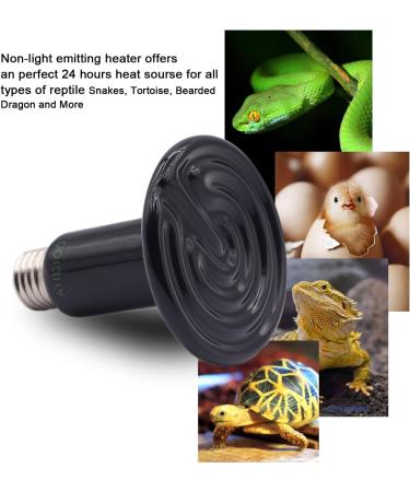 Buy Aiicioo Terrarium Heat Lamp | Ceramic Reptile Light for Lizards Bearded Dragons Chickens & Snakes | Eye Protection | 220V E27 (250W) - Buy Online on GoSupps.com