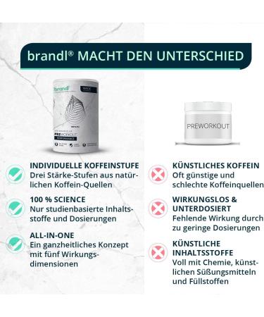 Brandl Pre-Workout Booster | Guarana Yerba-Mate EAA Amino Acids | XXL 500G | Beat Your Fitness Goals! - Buy Online on GoSupps.com